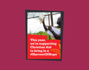 Harvest 25 UK: Shareable Harvest image 2 thumbnail