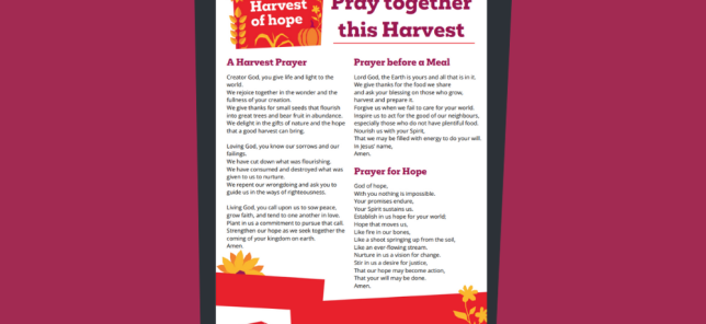 Harvest 25 prayer pack Thumbnail